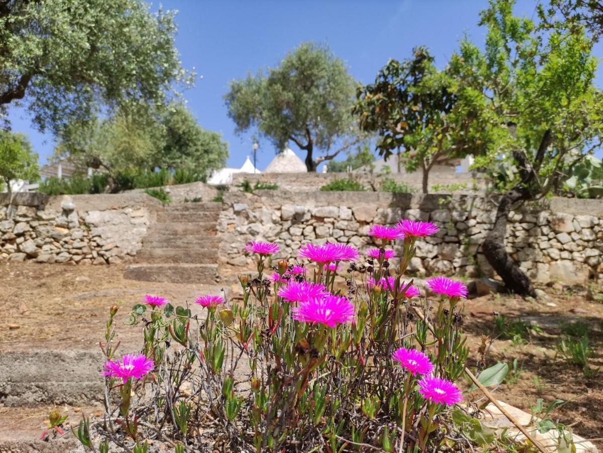 Trullo Rora - * Ostuni